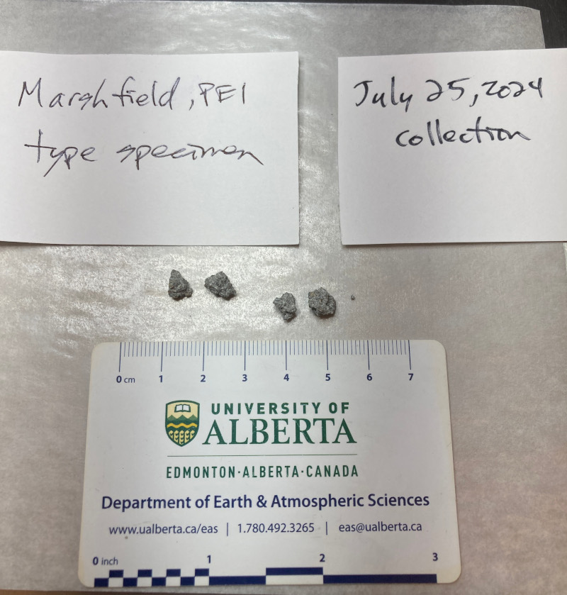 Fragments of the meteorite that were tested at the University of Alberta.