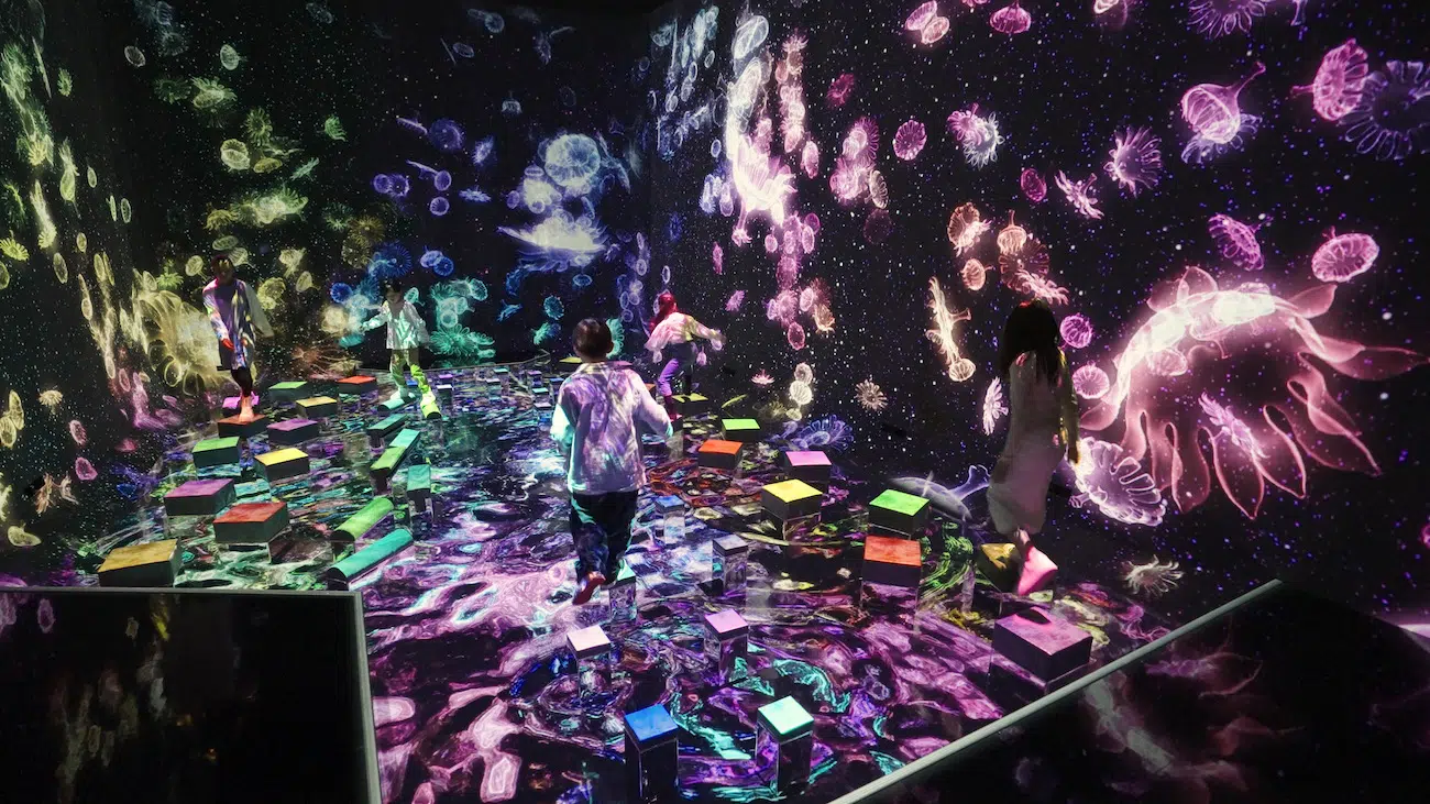 New expansion at teamLabs Planets in Tokyo