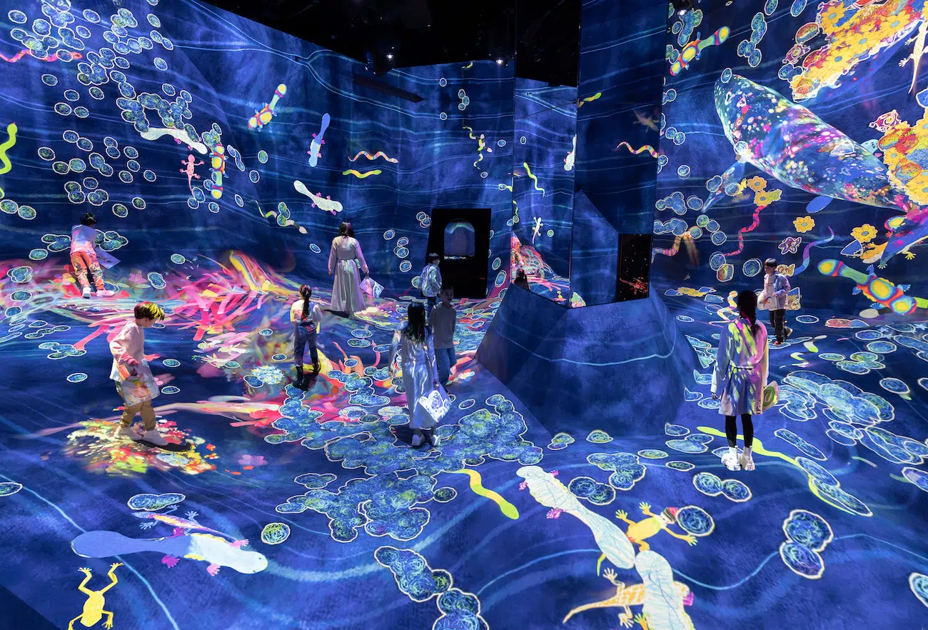 New expansion at teamLabs Planets in Tokyo