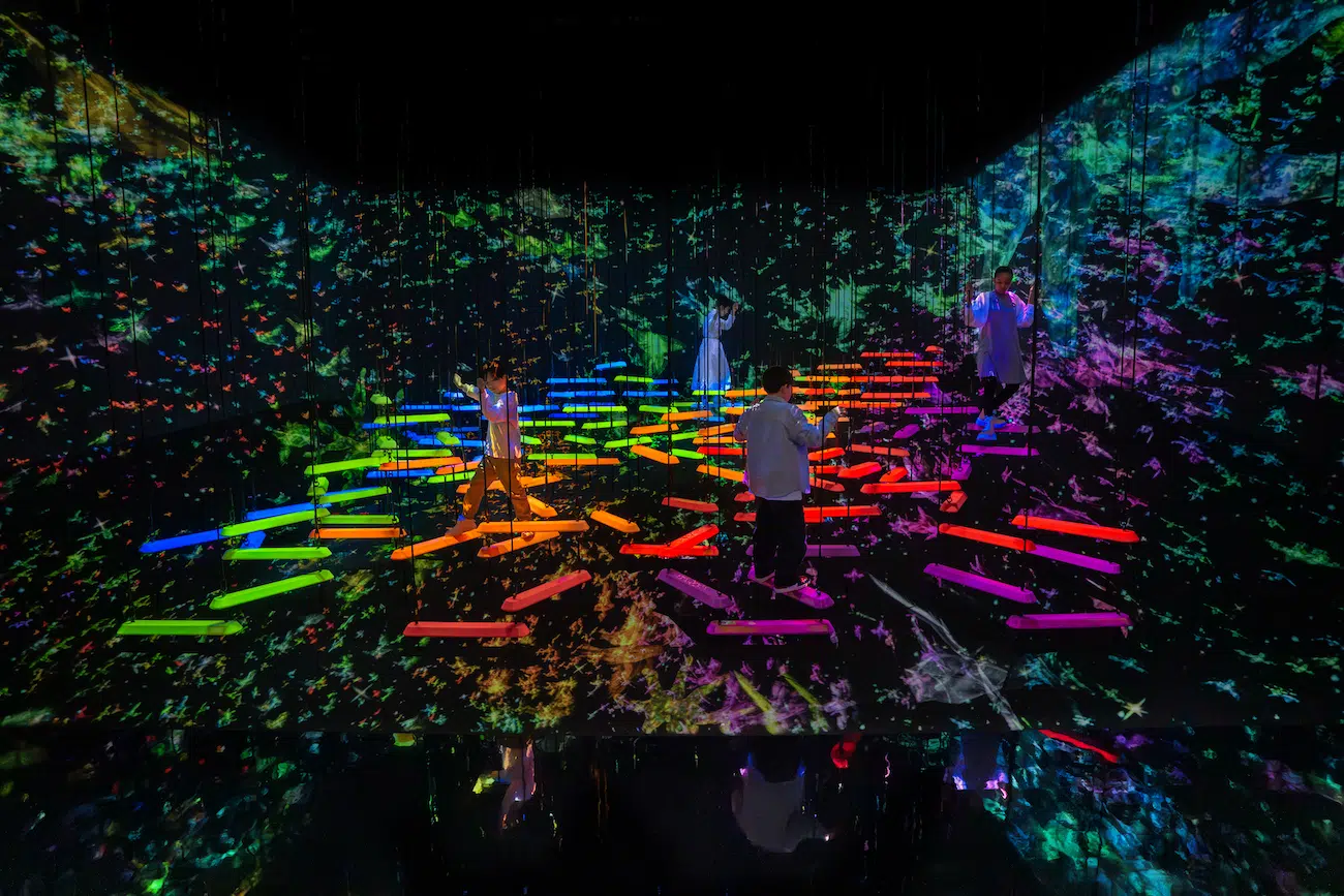 New expansion at teamLabs Planets in Tokyo